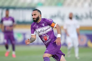هوادار
