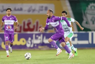 هوادار