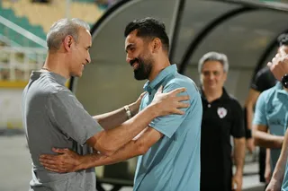 هوادار