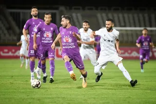 هوادار
