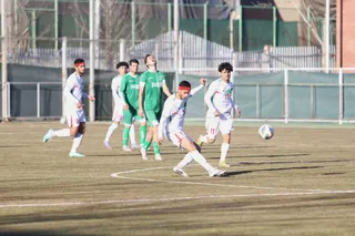 دوستانه