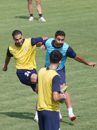 تیم