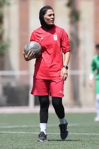 ملی
