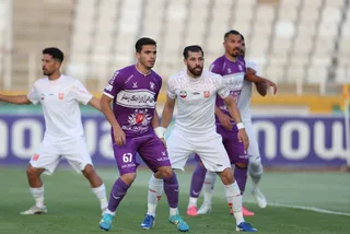 هوادار