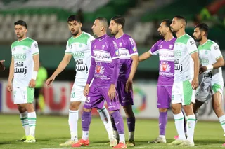 هوادار