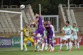 هوادار