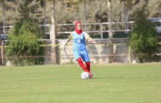 اردلان ۲
