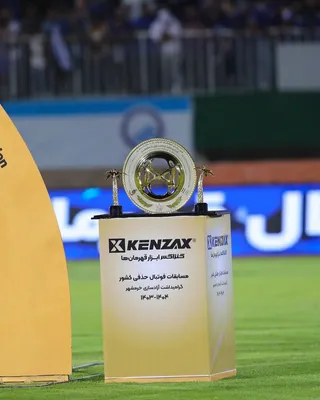 استانداردسازی 