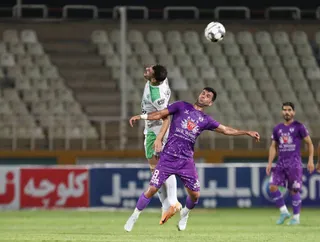 هوادار