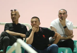 هوادار