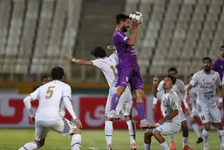 هوادار