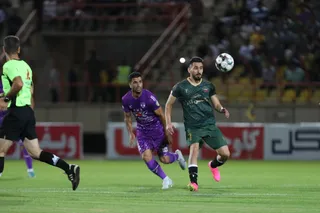 هوادار
