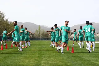 تیم ملی