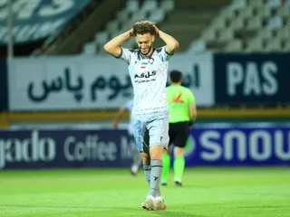 هوادار