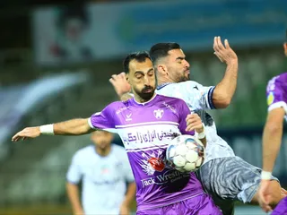 هوادار