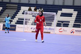 ژاپن۲