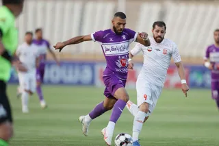 هوادار