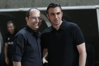 هوادار