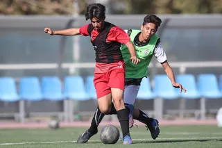 نونهال
