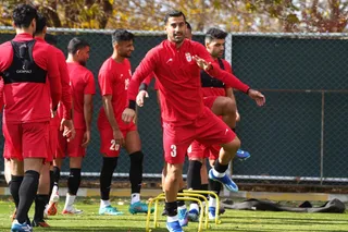 فدراسیون