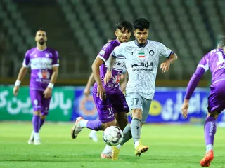 هوادار