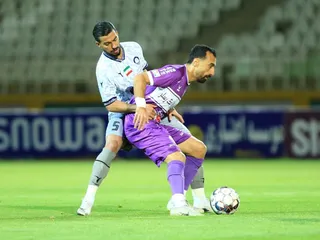 هوادار