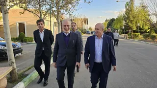  بازدید 