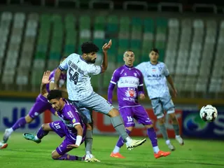هوادار