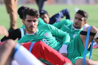 تيم اميد