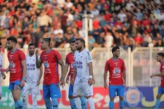هوادار