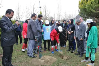 درختکاری