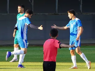 تیم ملی