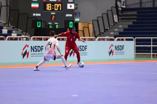 ژاپن۲