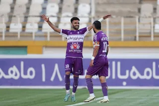 هوادار