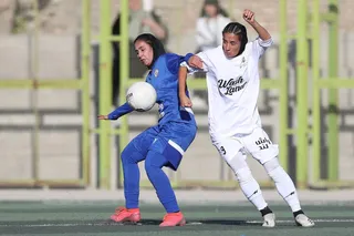 ایستا