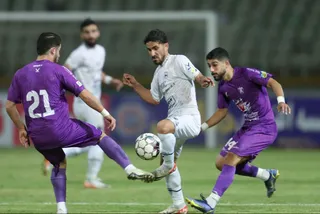 هوادار