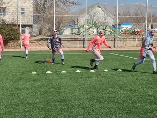 ترین