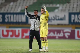 هوادار