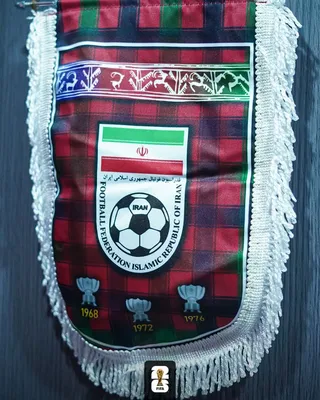 تیم ملی