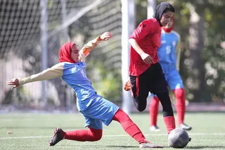 شاهین