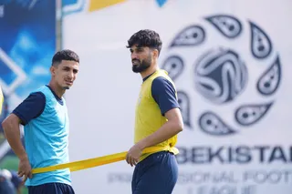 تیم