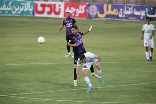 هوادار