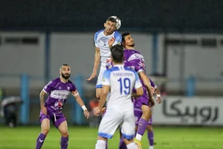 هوادار