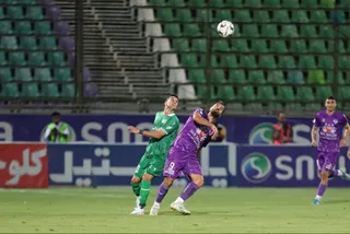 هوادار