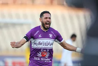 هوادار