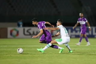 هوادار