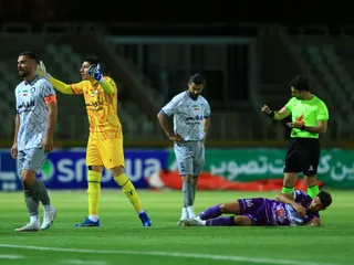 هوادار
