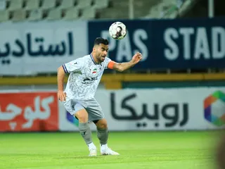 هوادار