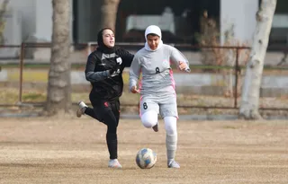 پبشتاز
