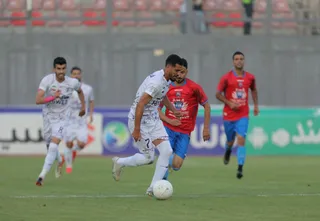 هوادار